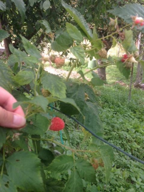 Agriturismo I Due Regni Petrella Salto Εξωτερικό φωτογραφία